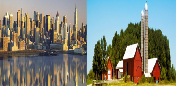 The city & the country: Two very different places to live