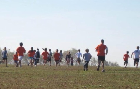 Maple Leaf 5k running on its 36th year