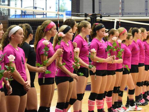 Volleyball players at last years Dig Pink game.