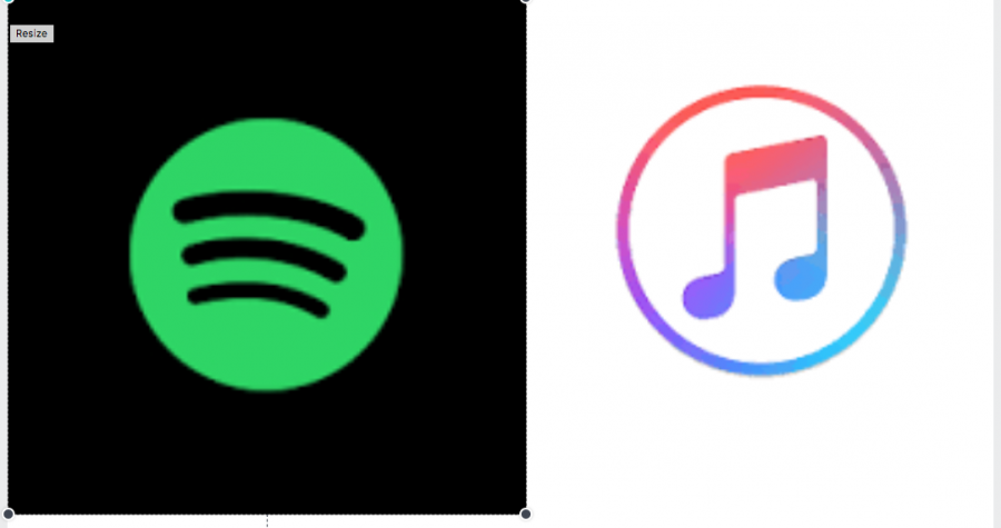 Spotify, Apple Music Flukes?