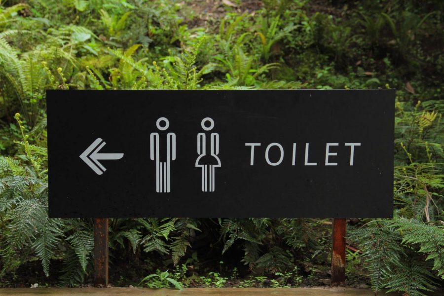 Male and female, "The only two genders" , are they really the ONLY genders out there?