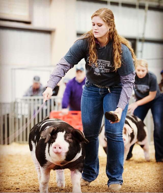 Riley Coates showing her pig.