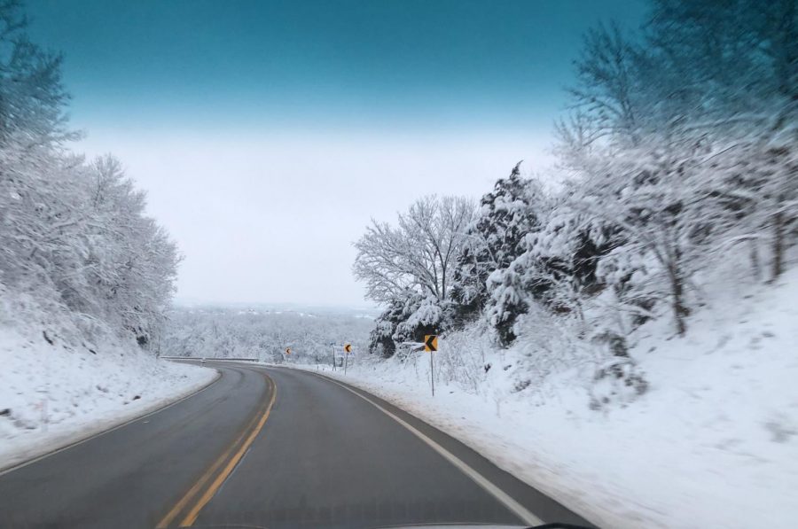 Snow fall on the trees on the sides of the road by a Baldwin City hill.