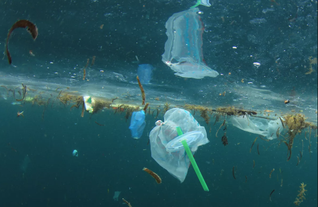 Cut out plastic bottles and straws