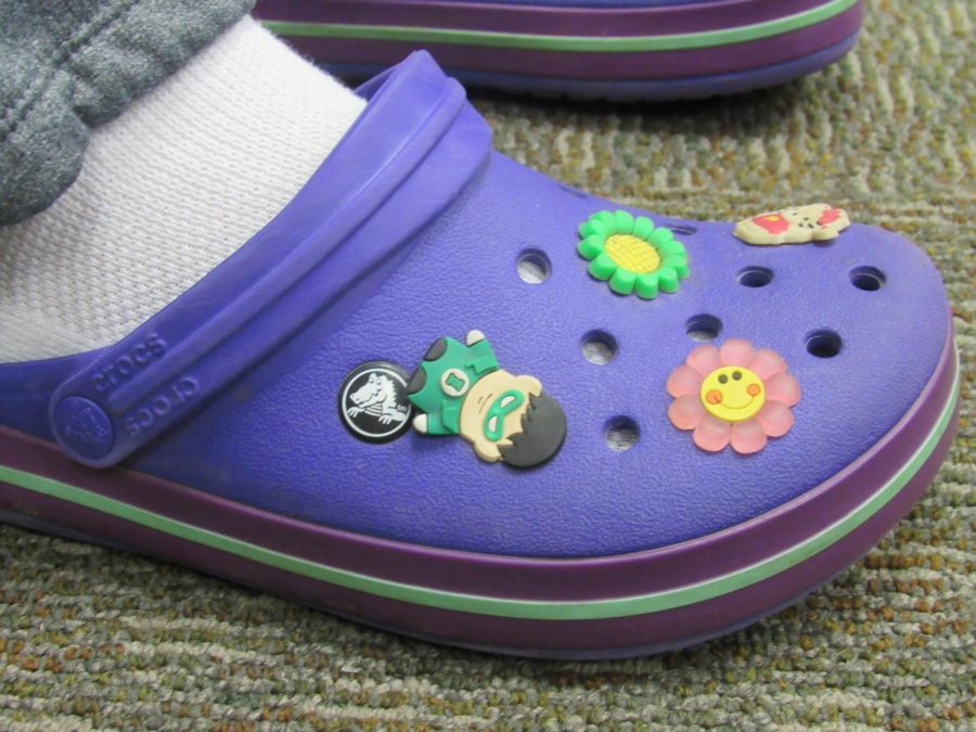 Do crocs have health benefits? – The 