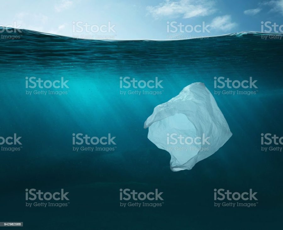 Plastic bag in the ocean with copy space