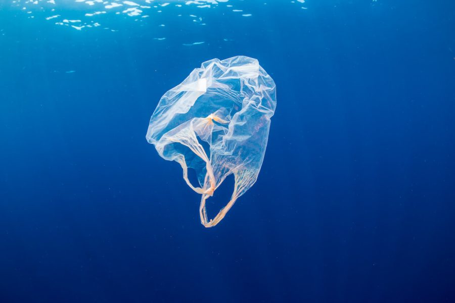 Plastic Bag Pollution