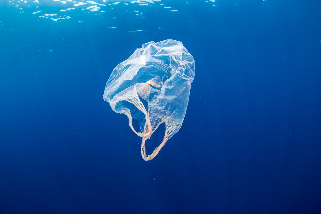 plastic bags ocean