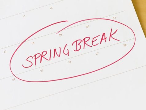 Student, teachers spring break plans