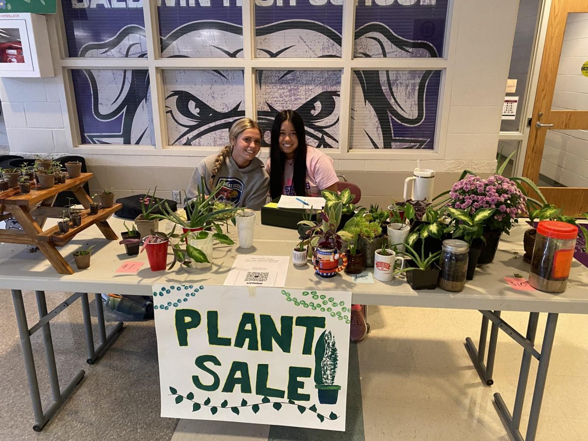 Environmental+Club+recently+sold+plants+at+lunch+for+a+fundraiser