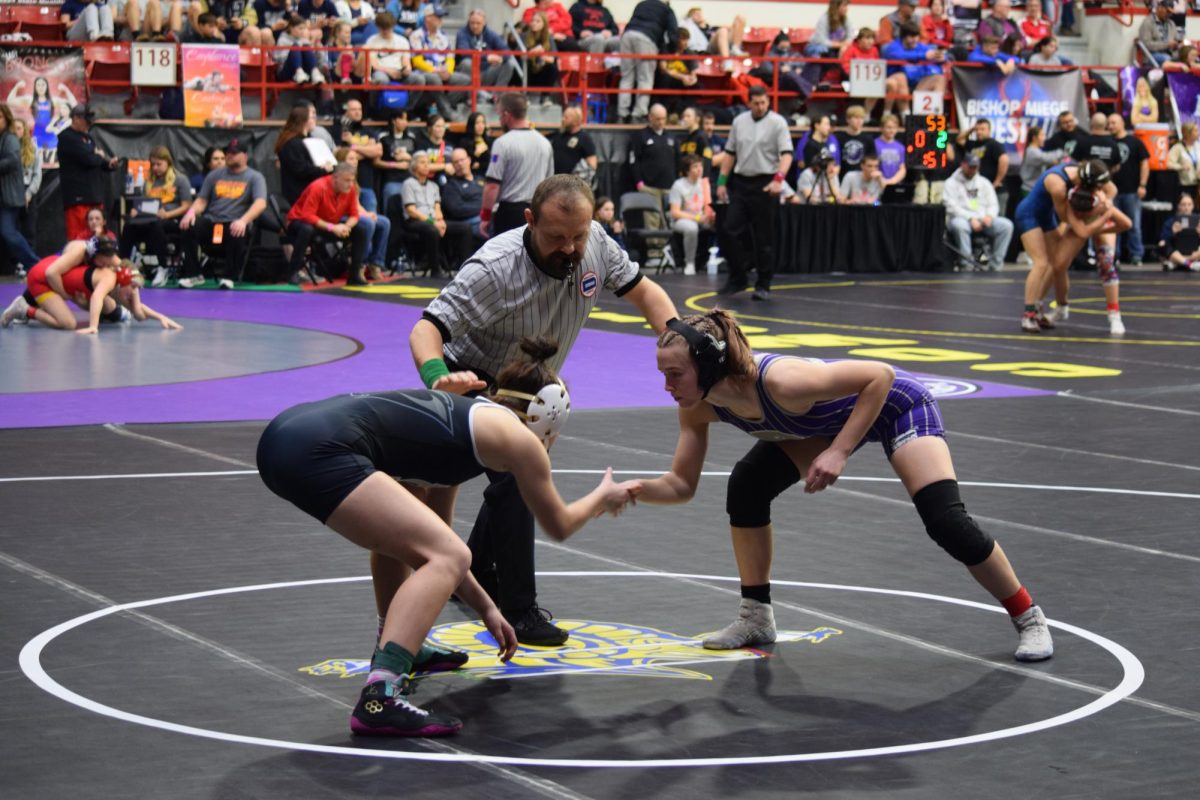 BULLDOGS TAKEDOWN STATE