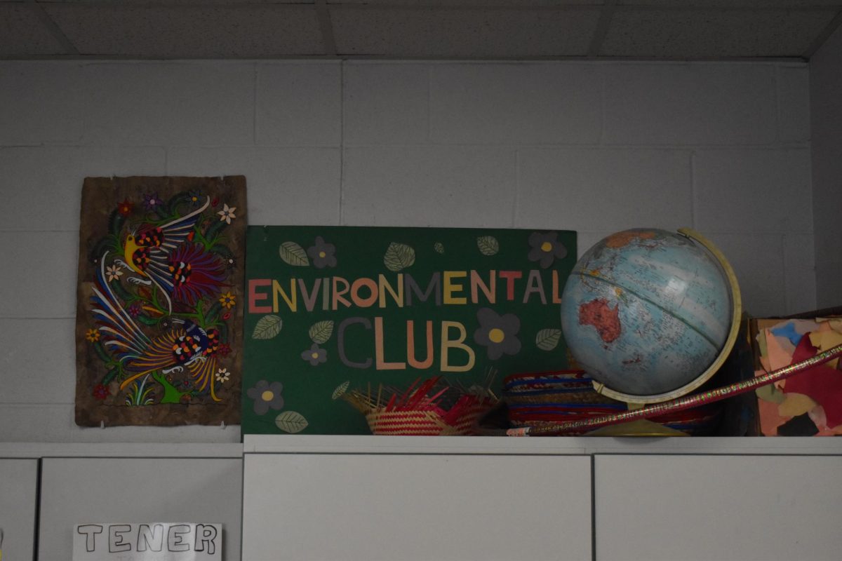 CARING ABOUT THE ENVIRONMENT