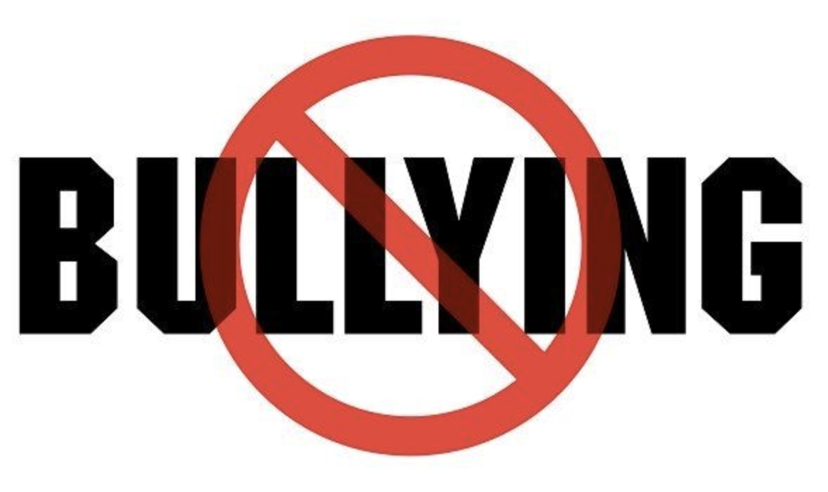BULLYING IN SCHOOLS
