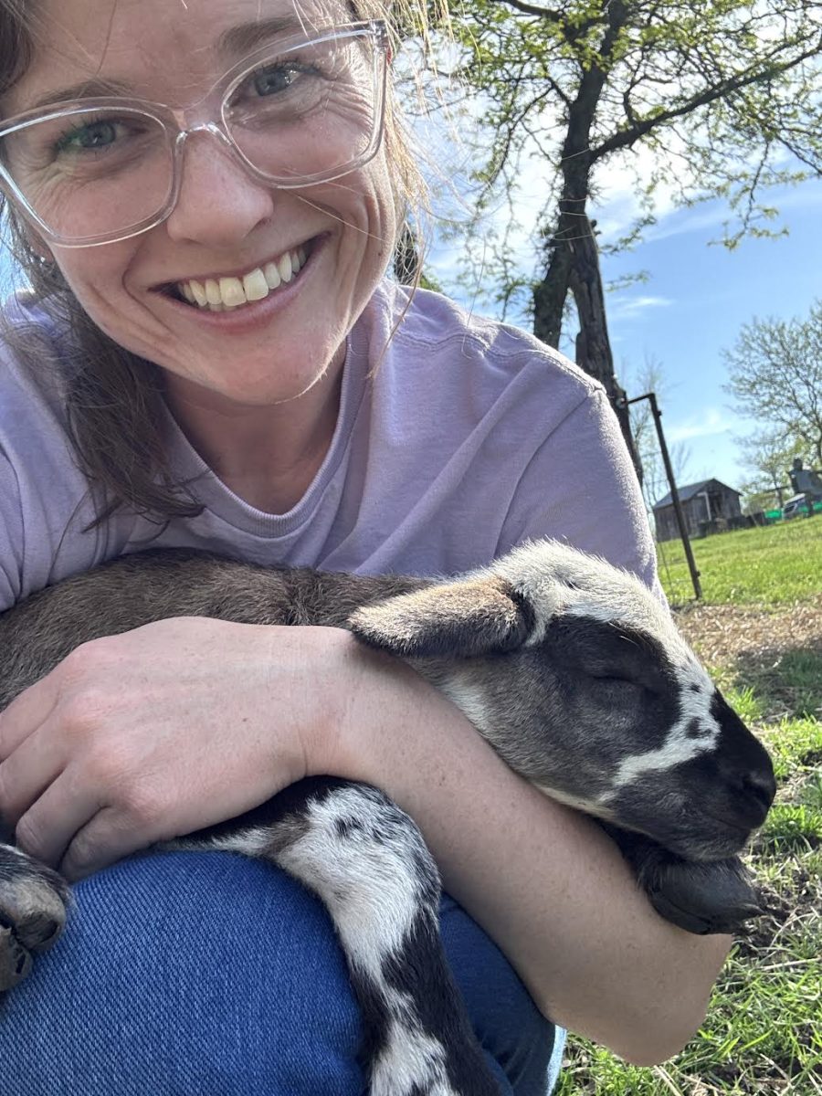 Q/A with Renae Linke